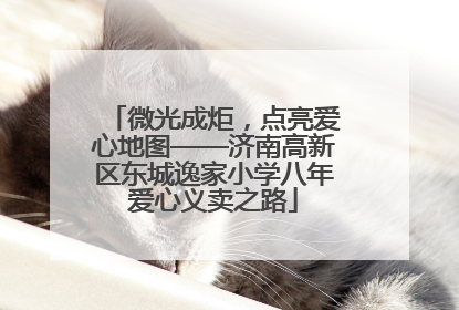 微光成炬，点亮爱心地图——济南高新区东城逸家小学八年爱心义卖之路