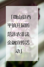 微山县西平镇开展防范涉农非法金融宣传活动