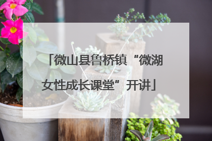 微山县鲁桥镇“微湖女性成长课堂”开讲