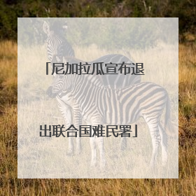 尼加拉瓜宣布退出联合国难民署