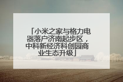 小米之家与格力电器落户济南起步区，中科新经济科创园商业生态升级