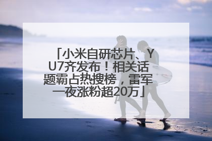 小米自研芯片、YU7齐发布！相关话题霸占热搜榜，雷军一夜涨粉超20万
