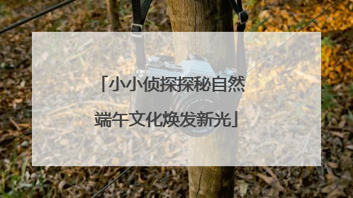小小侦探探秘自然 端午文化焕发新光