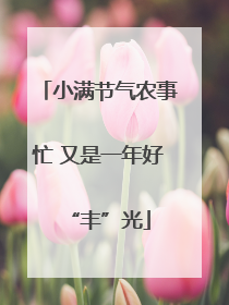 小满节气农事忙 又是一年好“丰”光