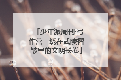 少年派周刊·写作营｜绣在武陵褶皱里的文明长卷