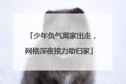 少年负气离家出走，网格深夜接力助归家