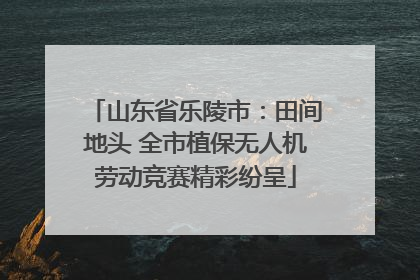 山东省乐陵市：田间地头 全市植保无人机劳动竞赛精彩纷呈