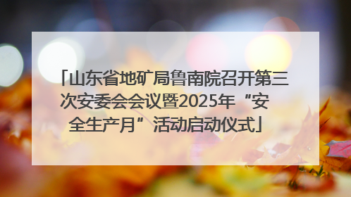 山东省地矿局鲁南院召开第三次安委会会议暨2025年“安全生产月”活动启动仪式