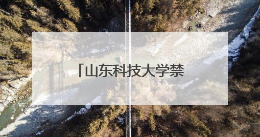 山东科技大学禁用红米手机考试，小米王化回应