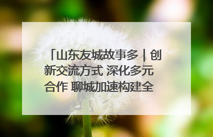 山东友城故事多｜创新交流方式 深化多元合作 聊城加速构建全球友城新格局