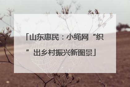 山东惠民：小绳网“织”出乡村振兴新图景