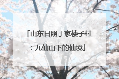 山东日照丁家楼子村：九仙山下的仙境