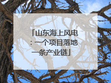 山东海上风电：一个项目落地一条产业链