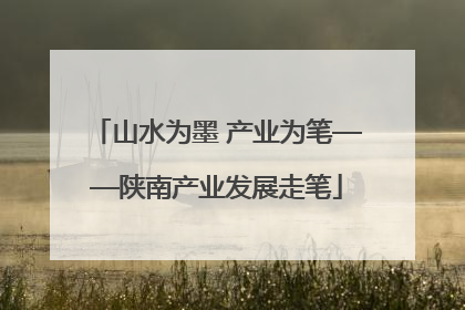 山水为墨 产业为笔——陕南产业发展走笔
