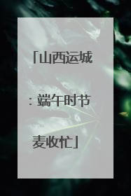 山西运城：端午时节麦收忙