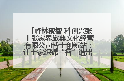 峰林聚智 科创兴张丨张家界旅典文化经营有限公司博士创新站：让土家织锦“智”造出非遗新传奇