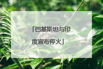 巴基斯坦与印度宣布停火