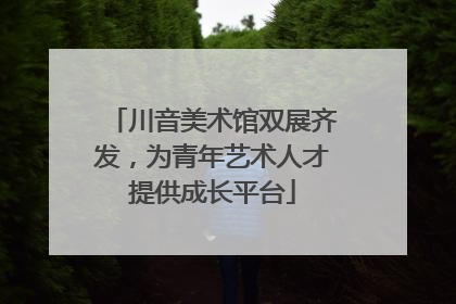 川音美术馆双展齐发，为青年艺术人才提供成长平台