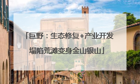 巨野：生态修复+产业开发 塌陷荒滩变身金山银山