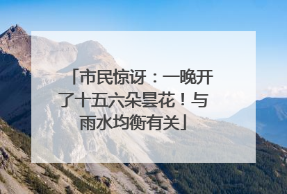 市民惊讶：一晚开了十五六朵昙花！与雨水均衡有关
