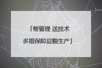 帮管理 送技术 多措保障夏粮生产