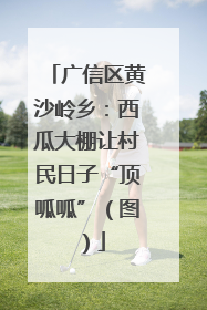 广信区黄沙岭乡：西瓜大棚让村民日子“顶呱呱”（图）