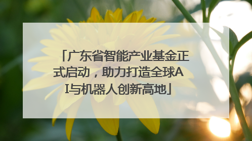 广东省智能产业基金正式启动，助力打造全球AI与机器人创新高地