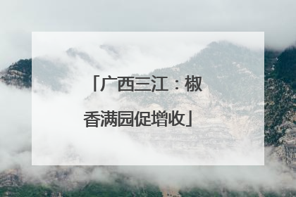 广西三江：椒香满园促增收