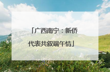 广西南宁：新侨代表共叙端午情