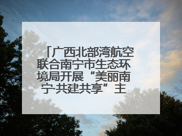 广西北部湾航空联合南宁市生态环境局开展“美丽南宁·共建共享”主题航班活动