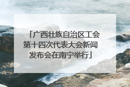 广西壮族自治区工会第十四次代表大会新闻发布会在南宁举行