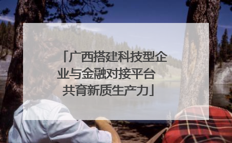 广西搭建科技型企业与金融对接平台 共育新质生产力