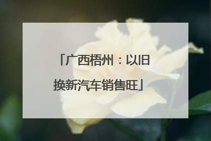 广西梧州：以旧换新汽车销售旺