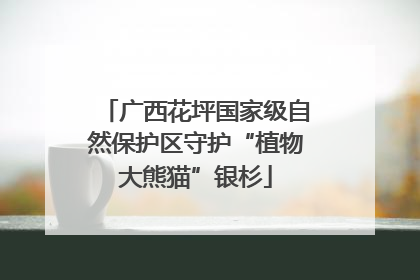 广西花坪国家级自然保护区守护“植物大熊猫”银杉