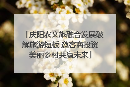 庆阳农文旅融合发展破解旅游短板 邀客商投资美丽乡村共赢未来