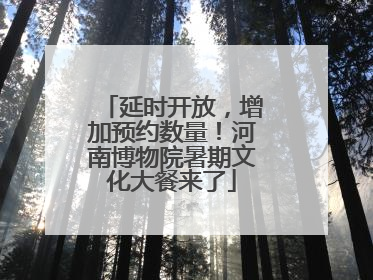 延时开放，增加预约数量！河南博物院暑期文化大餐来了