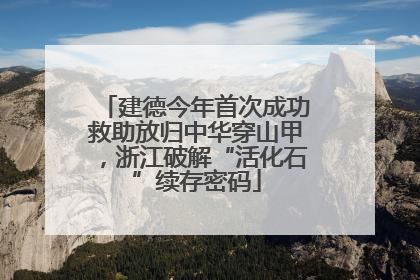 建德今年首次成功救助放归中华穿山甲，浙江破解“活化石”续存密码