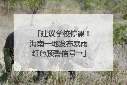 建议学校停课！海南一地发布暴雨红色预警信号→
