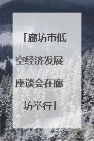 廊坊市低空经济发展座谈会在廊坊举行