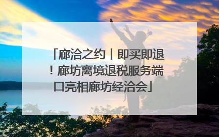 廊洽之约丨即买即退！廊坊离境退税服务端口亮相廊坊经洽会
