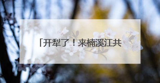 开犁了！来楠溪江共赴一场千年农耕之约