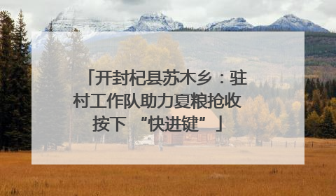 开封杞县苏木乡：驻村工作队助力夏粮抢收按下 “快进键”