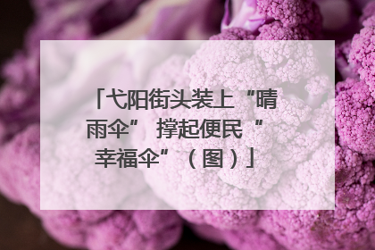弋阳街头装上“晴雨伞” 撑起便民“幸福伞”（图）