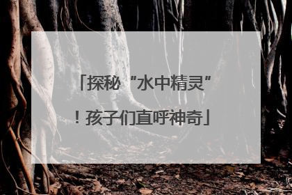 探秘“水中精灵”！孩子们直呼神奇