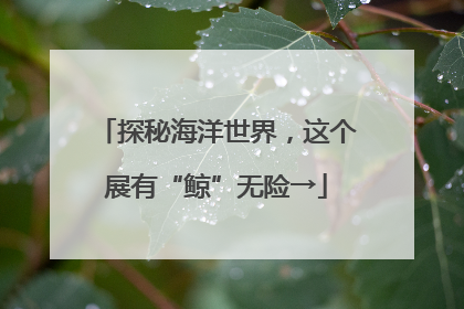 探秘海洋世界，这个展有“鲸”无险→