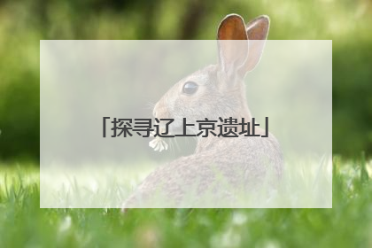 探寻辽上京遗址