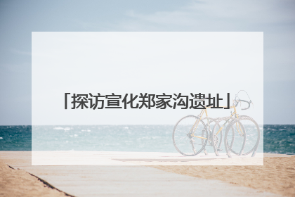 探访宣化郑家沟遗址