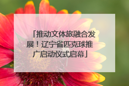 推动文体旅融合发展！辽宁省匹克球推广启动仪式启幕