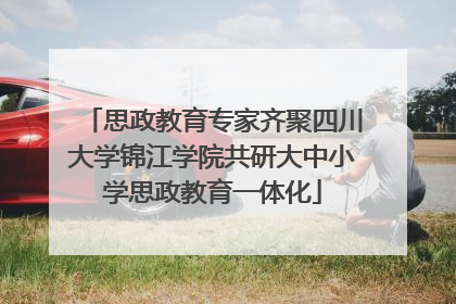 思政教育专家齐聚四川大学锦江学院共研大中小学思政教育一体化