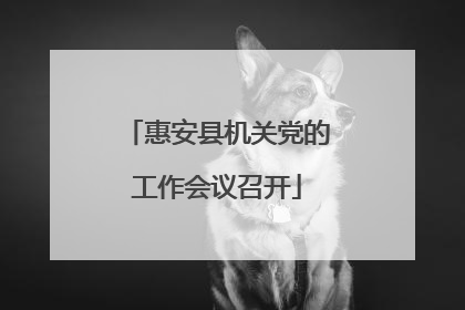 惠安县机关党的工作会议召开